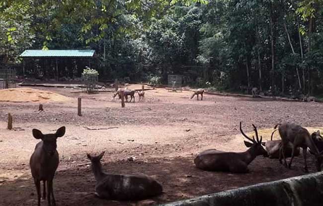 Abhayaranyam mini zoo
