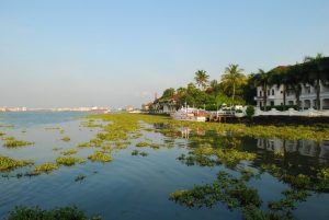 About Fort Kochi