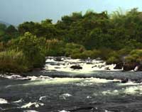 Poru Waterfalls Paniyeli