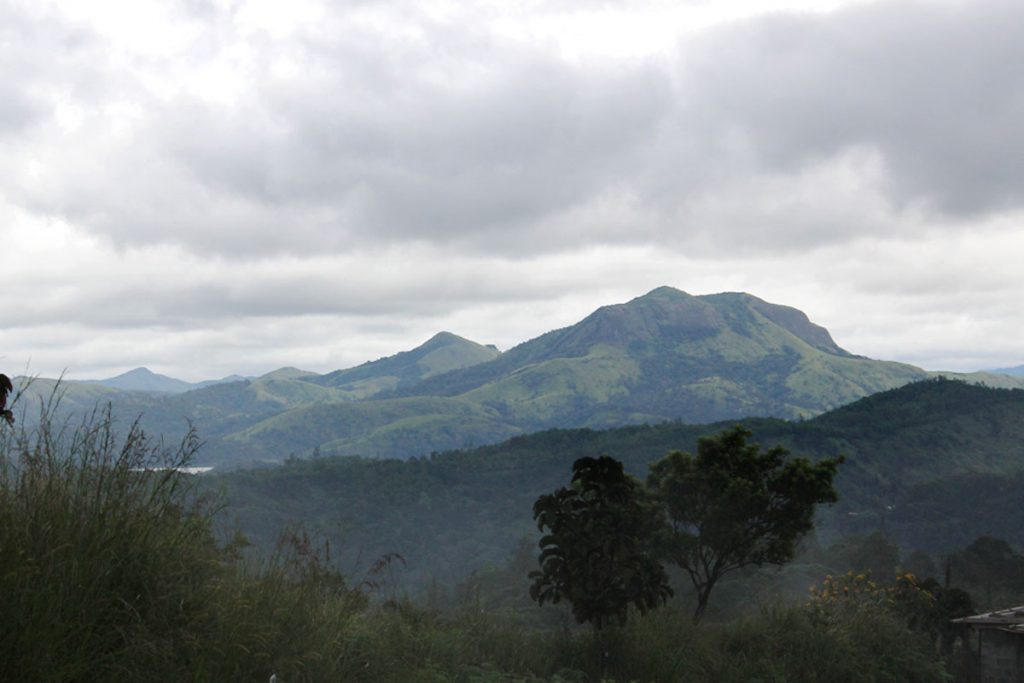 KANANAM photo 13