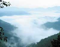 Baker-Hills(Thrisangu-Hills)