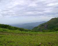 Panchalimedu