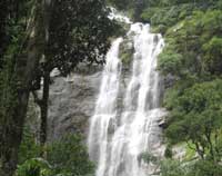 Valanjanganam falls