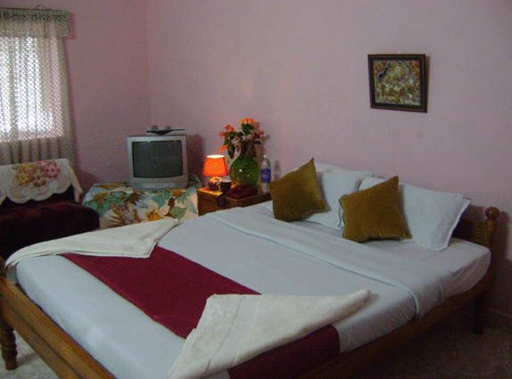 Dream Land Hill Resort photo 3