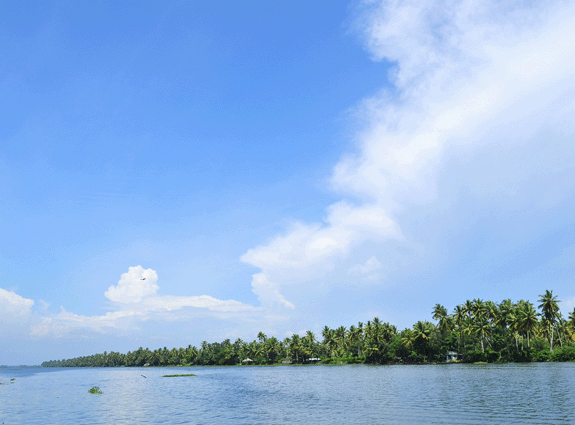 Dream Land Hill Resort photo 6