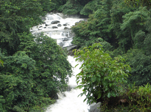 Dream Land Hill Resort photo 7