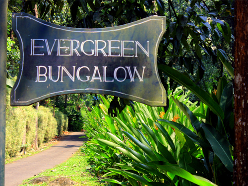Evergreen Estate Bungalow photo 8