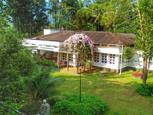 Evergreen Estate Bungalow photo 23