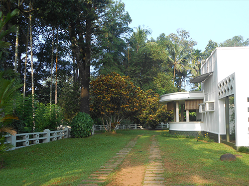 Evergreen Estate Bungalow photo 10