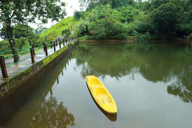 Misty Mountain Plantation Resort photo 2