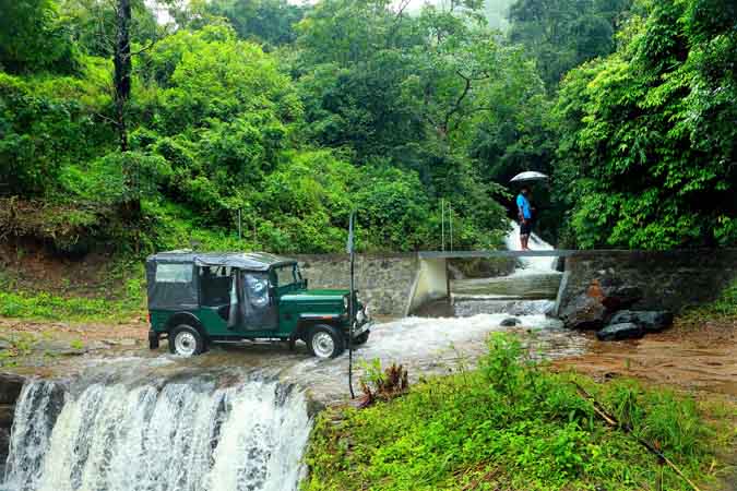 Misty Mountain Plantation Resort photo 8
