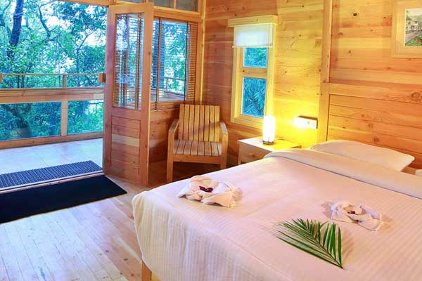 Misty Mountain Plantation Resort photo 12