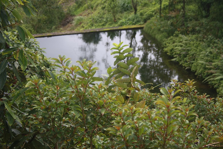 MUNDAX HOMESTAY YOGA MEDITATION RETREAT photo 12
