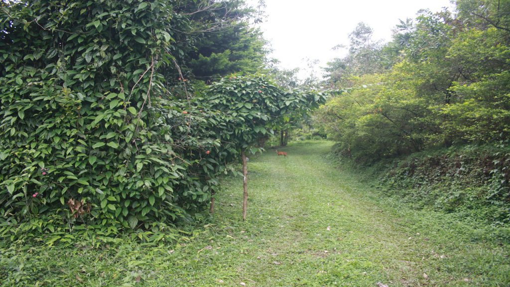 MUNDAX HOMESTAY YOGA MEDITATION RETREAT photo 6
