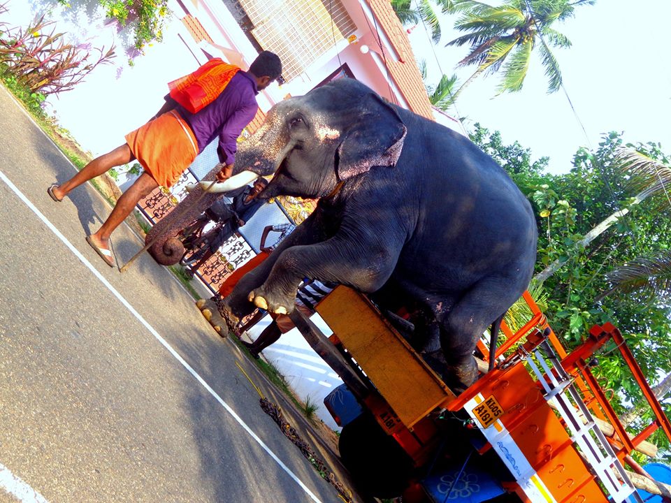 achayans home stay photo 3