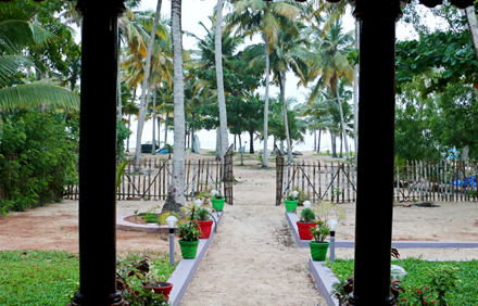 marari arabian sea view homestay photo 1