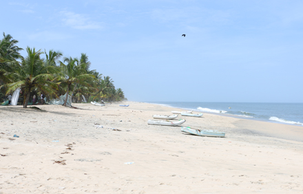 marari arabian sea view homestay photo 10