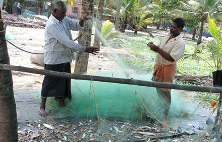 marari arabian sea view homestay photo 11