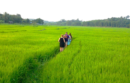 marari arabian sea view homestay photo 14