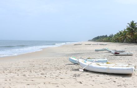 marari arabian sea view homestay photo 9