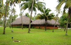 marari beach resort photo 5