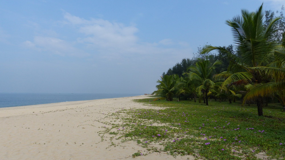 marari nest beach homestay photo 11
