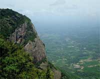About Nelliyamapathy