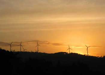 WIND FARM