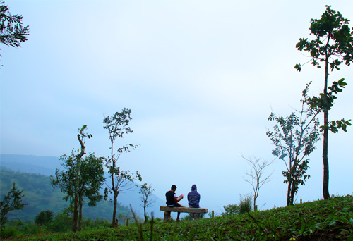 Bamboo Nest Plantation Resort photo 6