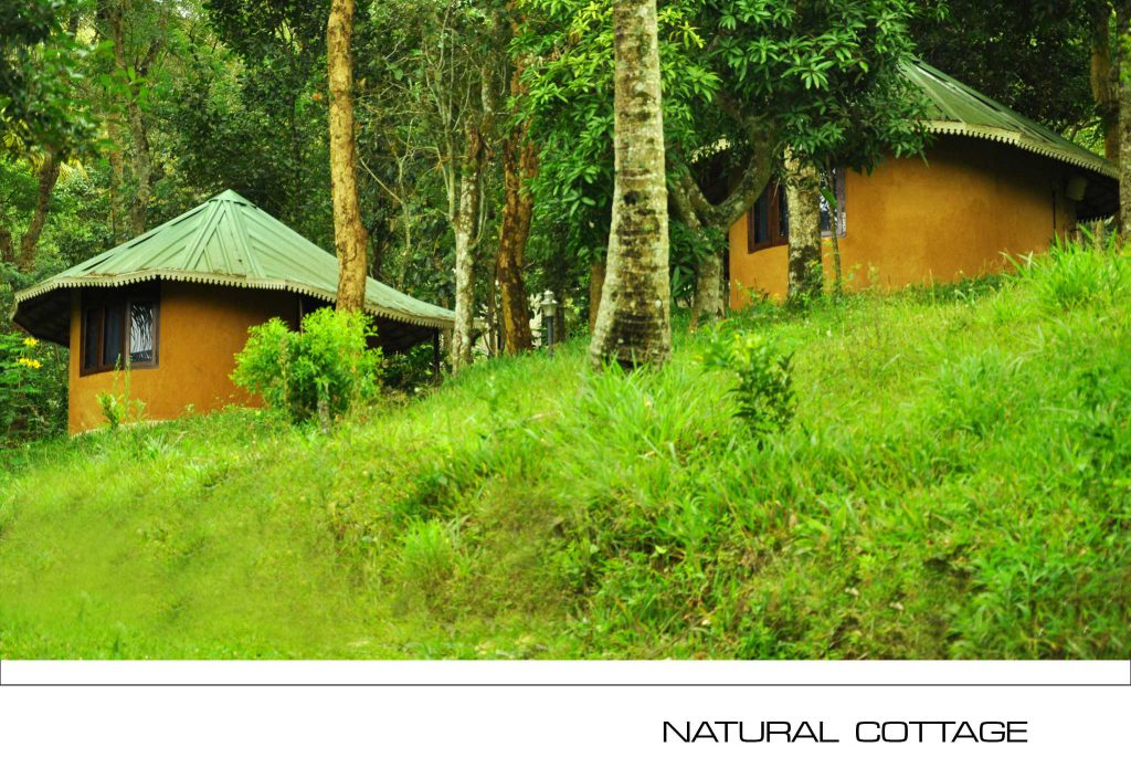 Punarjani Resorts photo 15