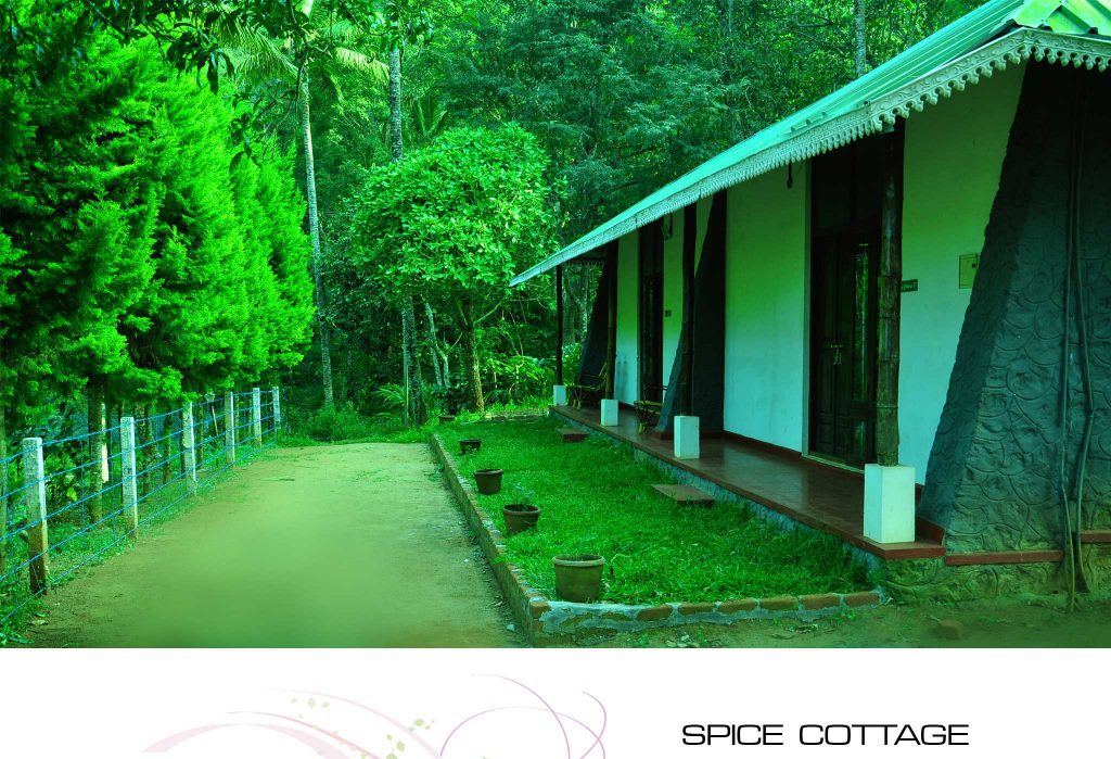 Punarjani Resorts photo 16