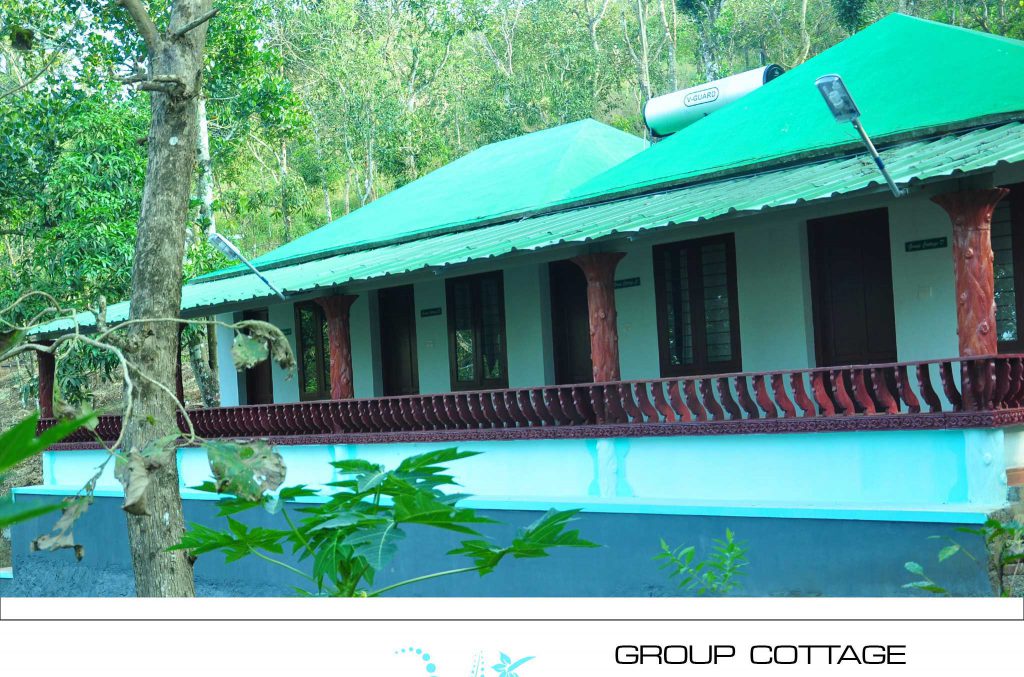 Punarjani Resorts photo 17