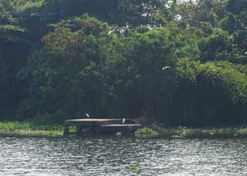Pathiramanal