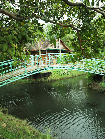 Vembanadu Lake Villas photo 3
