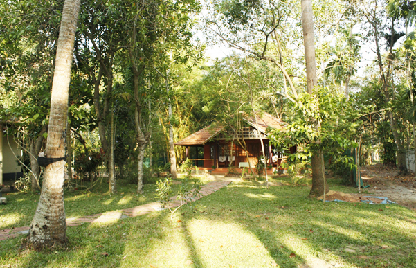 Vembanadu Lake Villas photo 4