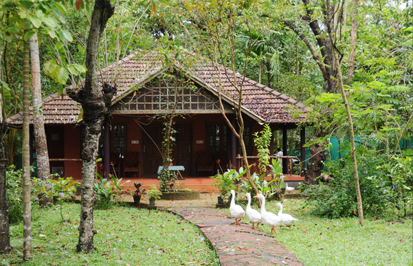 Vembanadu Lake Villas photo 12