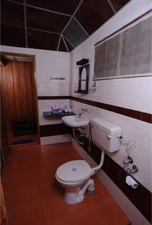 Vembanadu Lake Villas photo 14