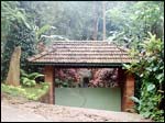 Edakkal Hermittage Resort- img2 