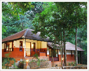 Vythiri Resort Wayanad, wayanad resort, wayanad hotels, resorts in ...