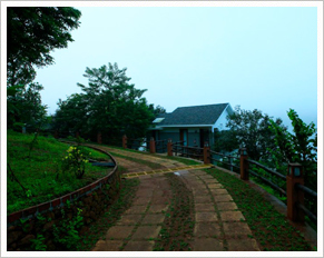 Wayanad Silver Woods, Wayanad, Kerala, India